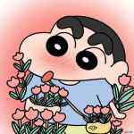 今晚打老虎的头像-WordPress主题模板-zibll子比主题