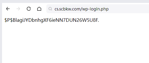 20240823134852364-image-153