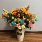 WoNNNN的头像-WordPress主题模板-zibll子比主题