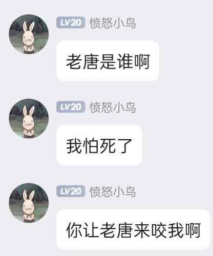 子比主题速度优化教程（详细版）-WordPress主题模板-zibll子比主题