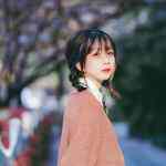 云云云的头像-WordPress主题模板-zibll子比主题