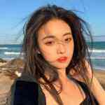 我呆的头像-WordPress主题模板-zibll子比主题