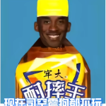 十来块的头像-WordPress主题模板-zibll子比主题