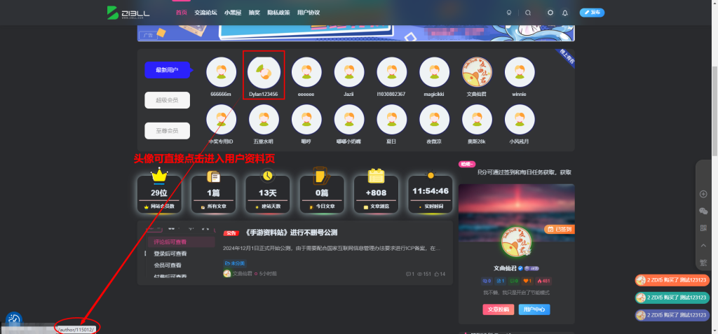 [优化]【首页会员优化】炙焰子比小工具插件(1.0.0 版本)-zibll美化交流分享社区-zibll子比主题-WordPress主题模板-zibll子比主题
