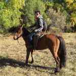 小疯子的头像-WordPress主题模板-zibll子比主题