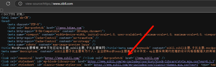 dns-prefetch标签不需要加载网站主域名（a标签），代码里面搜索了没找到地方删呢-WordPress主题模板-zibll子比主题