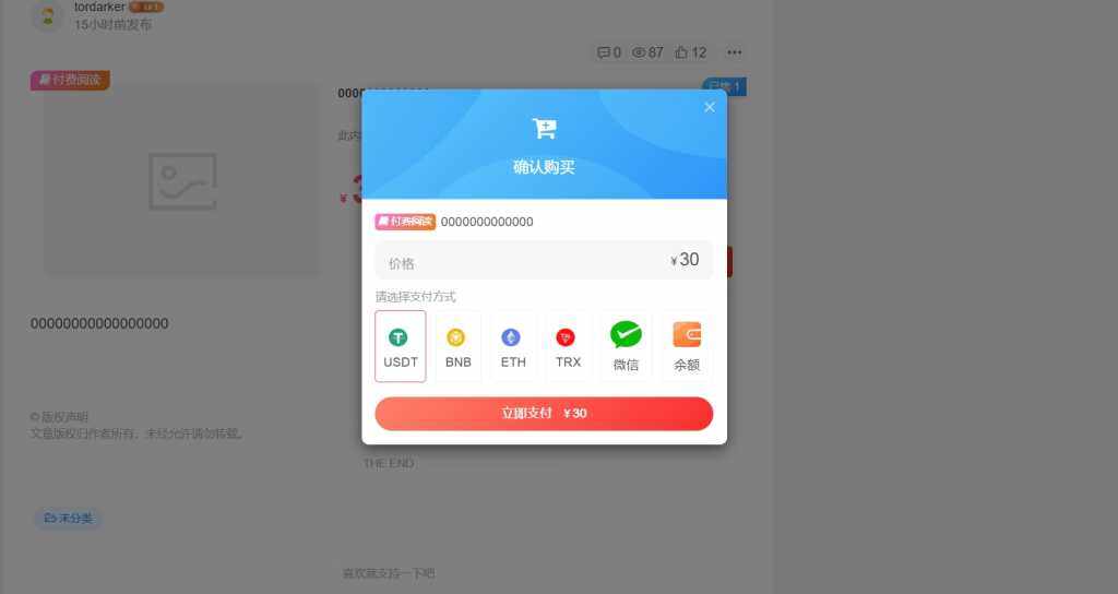 USDT支付插件TokenPay【概念版】-zibll综合交流社区-zibll子比主题-WordPress主题模板-zibll子比主题