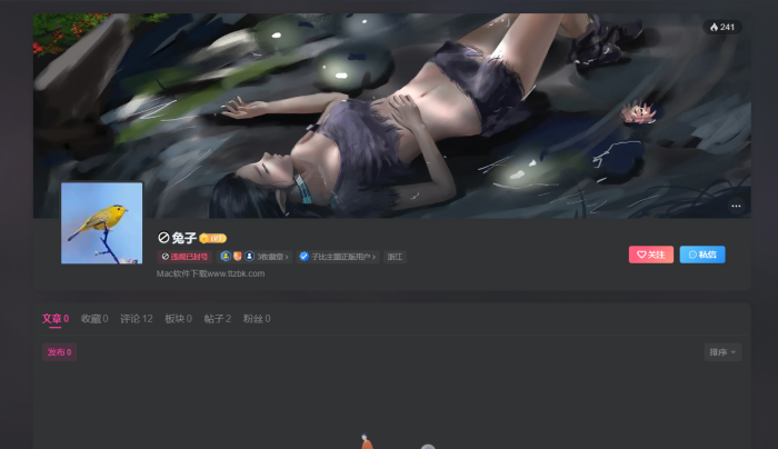 id: 27655 严重违规公示-WordPress主题模板-zibll子比主题