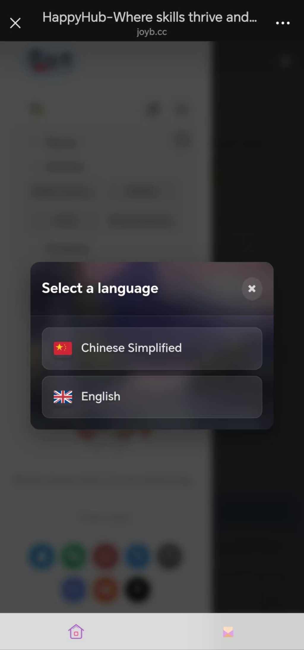 子比主题 Zb Translator-WP多语言翻译插件 4