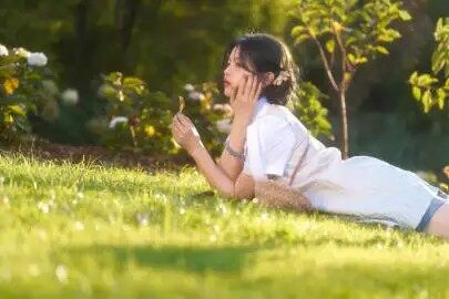 评论图片-WordPress主题模板-zibll子比主题