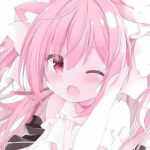 Huan的头像-WordPress主题模板-zibll子比主题