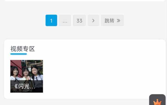 视频专区插件需求调查-WordPress主题模板-zibll子比主题