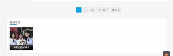 视频专区插件需求调查-WordPress主题模板-zibll子比主题