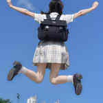 爱玩图网官方的头像-WordPress主题模板-zibll子比主题