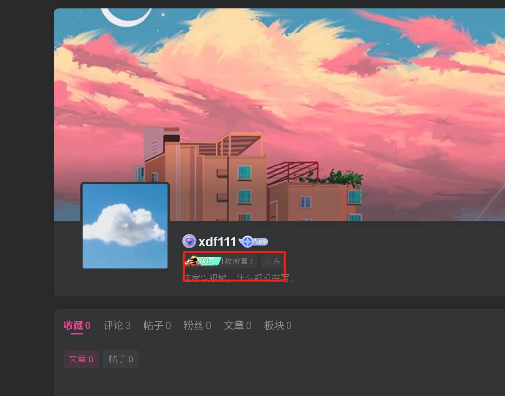 徽章（购买会员就下发一个徽章有人会搞吗）-WordPress主题模板-zibll子比主题