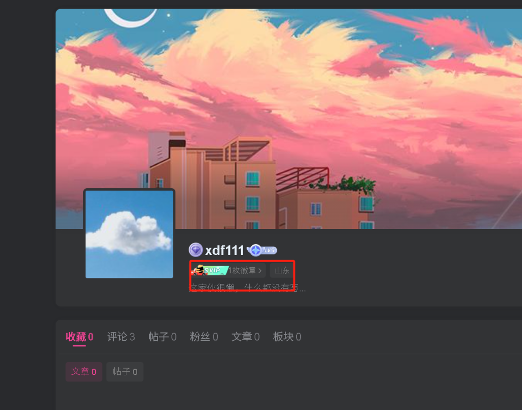 徽章(购买会员就下发一个徽章有人会搞吗)-WordPress主题模板-zibll子比主题