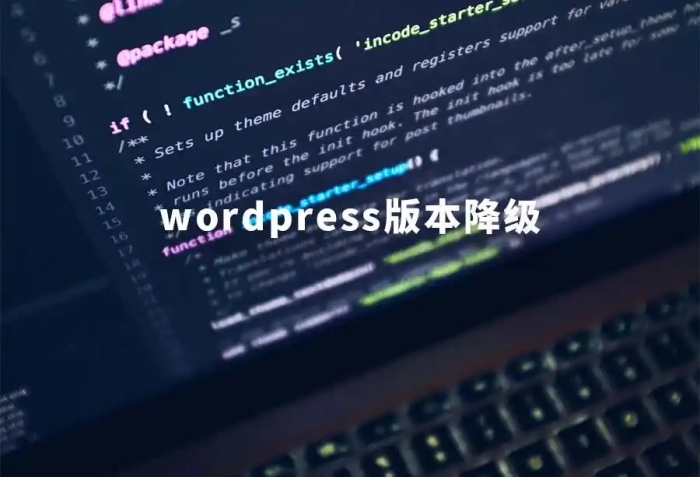 WordPress版本降级教程-WordPress主题模板-zibll子比主题