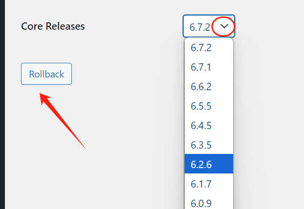 20250421232013909-20250224172811374-image