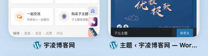 网站图标显示不一致-WordPress主题模板-zibll子比主题
