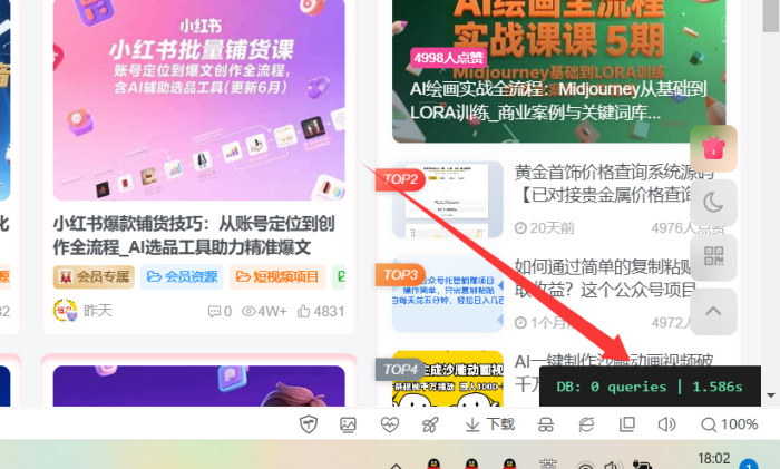 求大神帮忙去掉数据库查询次数和时间-WordPress主题模板-zibll子比主题