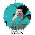 IceLin的头像-WordPress主题模板-zibll子比主题