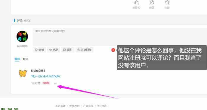没注册可以评论？发垃圾广告信息？-WordPress主题模板-zibll子比主题