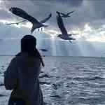 阿蛇的头像-WordPress主题模板-zibll子比主题