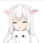 依白是只狼的头像-WordPress主题模板-zibll子比主题