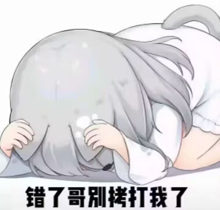 评论图片-WordPress主题模板-zibll子比主题