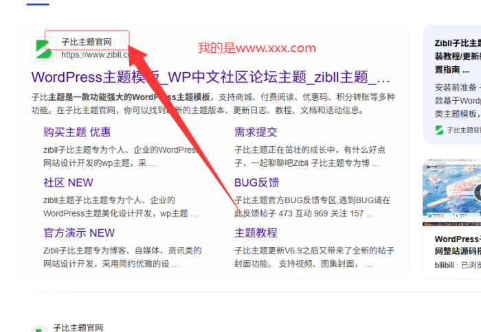 为什么我的bing的名字是网站-WordPress主题模板-zibll子比主题