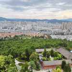 Bluexilin的头像-WordPress主题模板-zibll子比主题