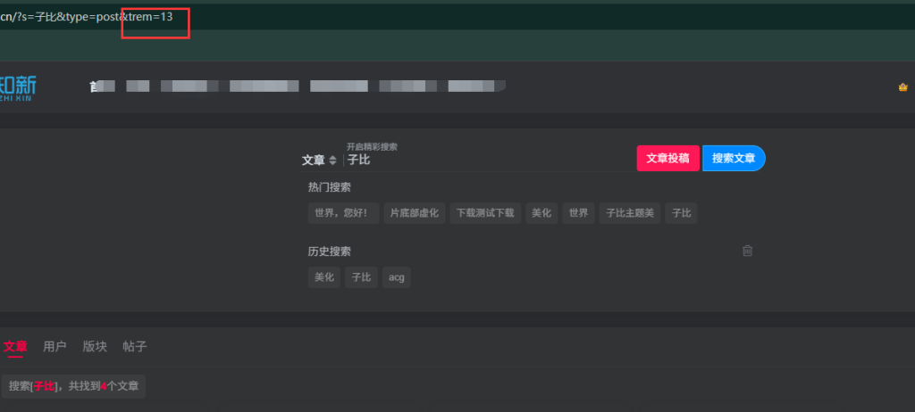 问个问题 为啥首页不管我输入什么内容 url参数都会显示13-WordPress主题模板-zibll子比主题