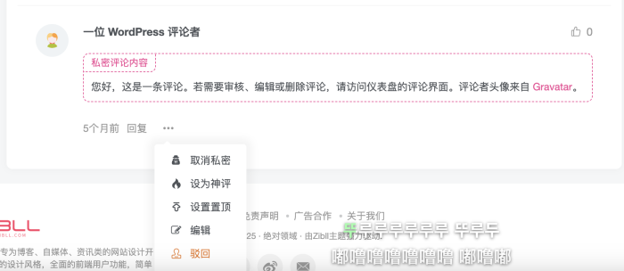 子比主题增加私密评论-WordPress主题模板-zibll子比主题