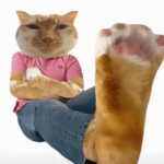 中国国家战略忽悠局驻微信特派员的头像-WordPress主题模板-zibll子比主题