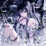 迷小龙丶H的头像-WordPress主题模板-zibll子比主题