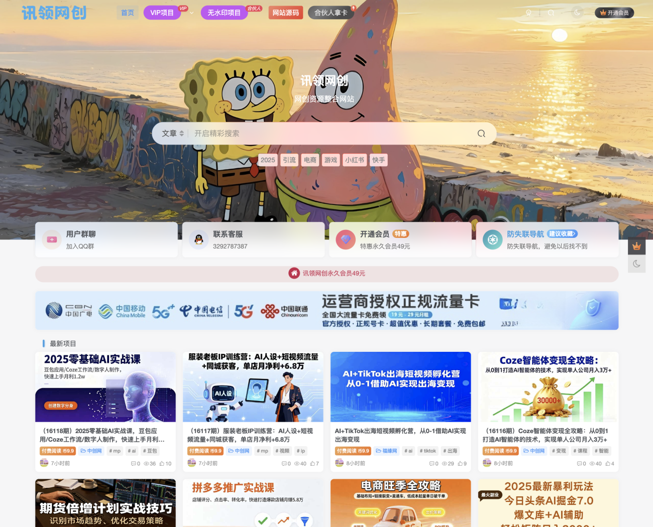 【www.d62.cn】优质的网创副业分享网-WordPress主题模板-zibll子比主题