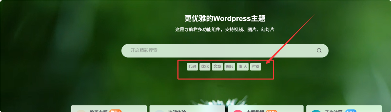 怎么关闭搜索热门关键词显示呢？-WordPress主题模板-zibll子比主题