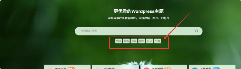 怎么关闭搜索热门关键词显示呢？-WordPress主题模板-zibll子比主题