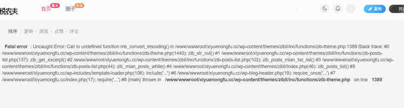 问题求助！发布文章后首页提示这一串！-WordPress主题模板-zibll子比主题