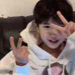 未尽的头像-WordPress主题模板-zibll子比主题