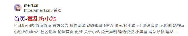 大佬求解！为什么搜索引擎点击首页进去是空白的-WordPress主题模板-zibll子比主题
