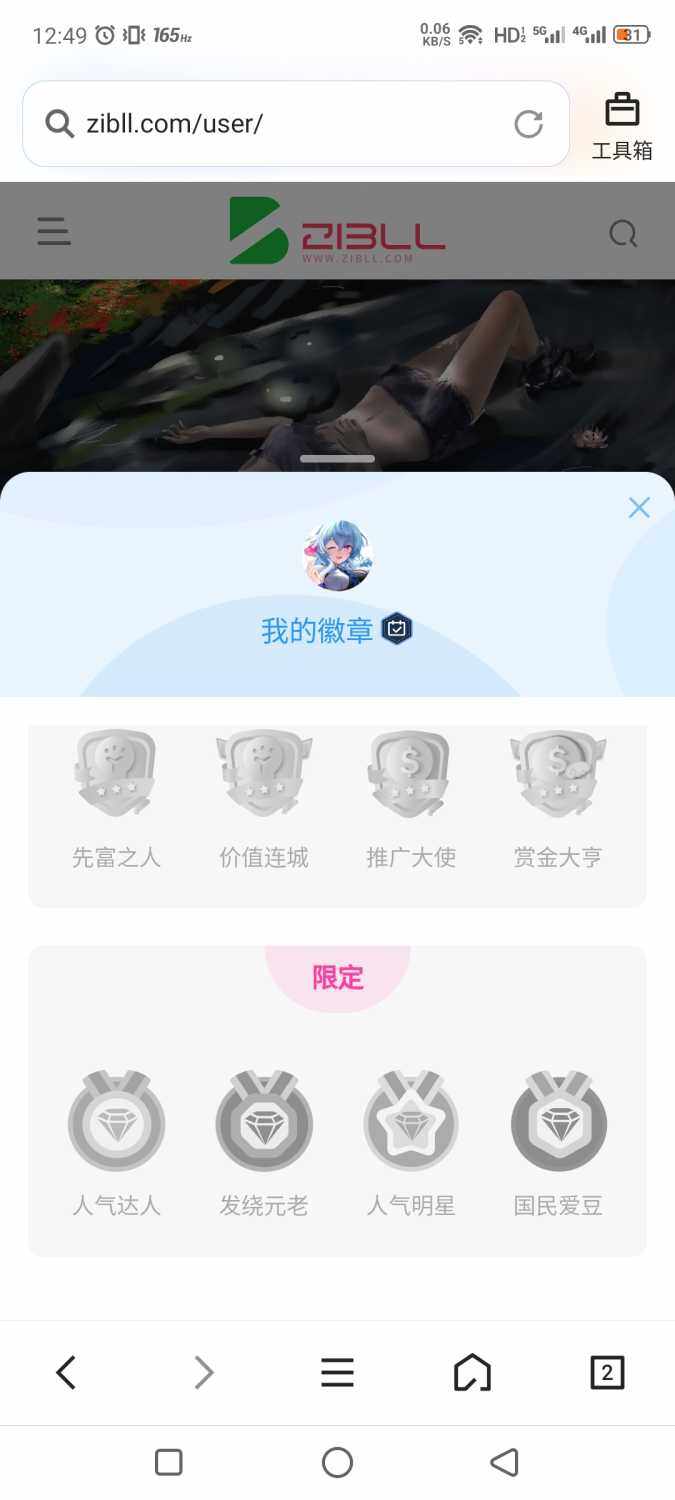 有没有好看的徽章,只能去淘宝买传奇的了-WordPress主题模板-zibll子比主题
