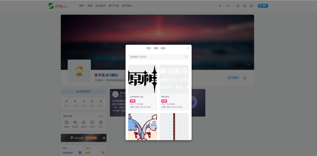 子比主题用户媒体管理插件-WordPress主题模板-zibll子比主题