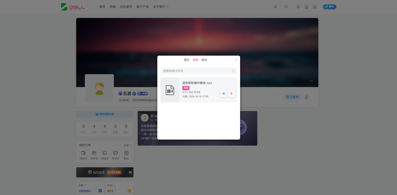 子比主题用户媒体管理插件-WordPress主题模板-zibll子比主题