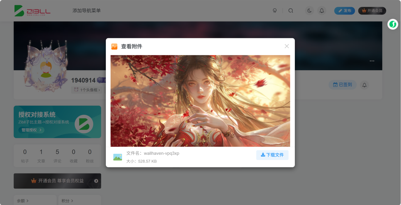 子比前端附件管理插件-NOKOOILE论坛