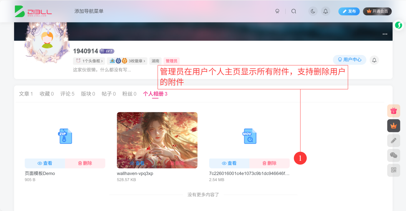 子比前端附件管理插件-NOKOOILE论坛