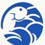 鱼见海科技www.bwxt88.com的头像-WordPress主题模板-zibll子比主题