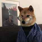 小制的头像-WordPress主题模板-zibll子比主题