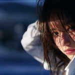 魏锦宸的头像-WordPress主题模板-zibll子比主题