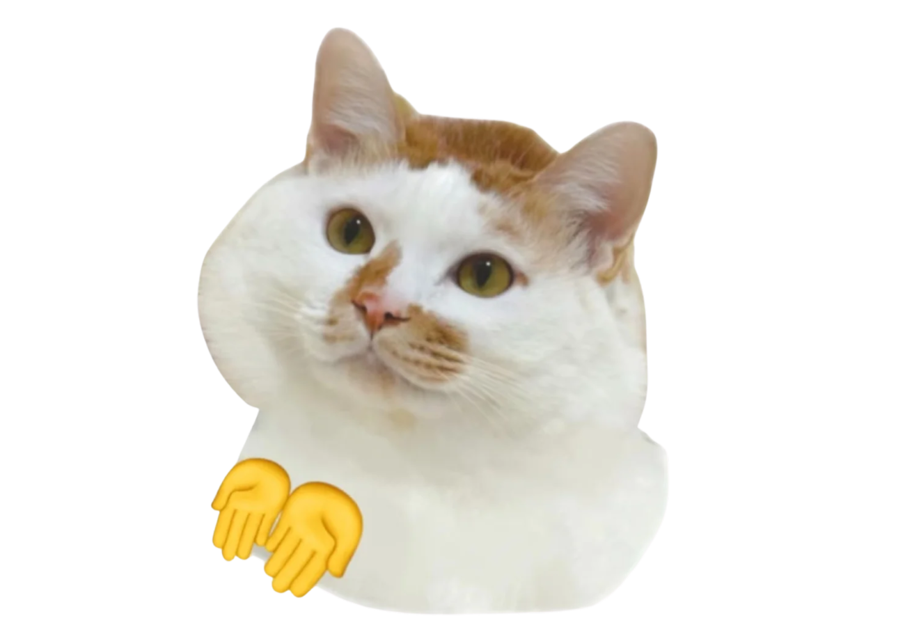 评论图片-WordPress主题模板-zibll子比主题